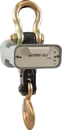 Весы CAS 2 THA(Caston 1) купить по низкой цене | МАКСПРОФИТ